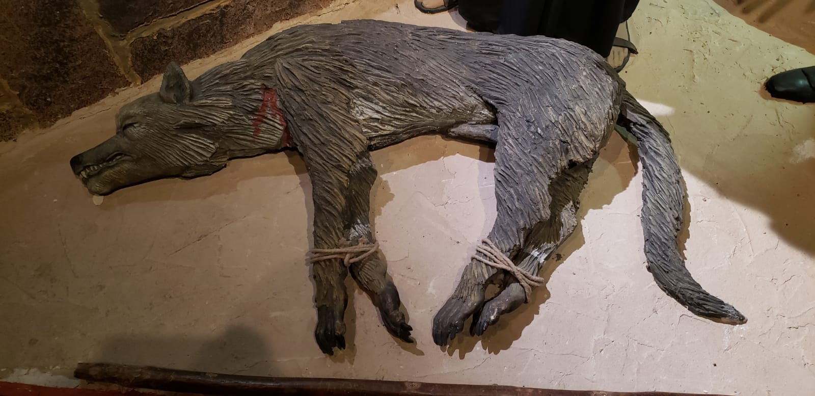 Sortie Gévaudan 2025