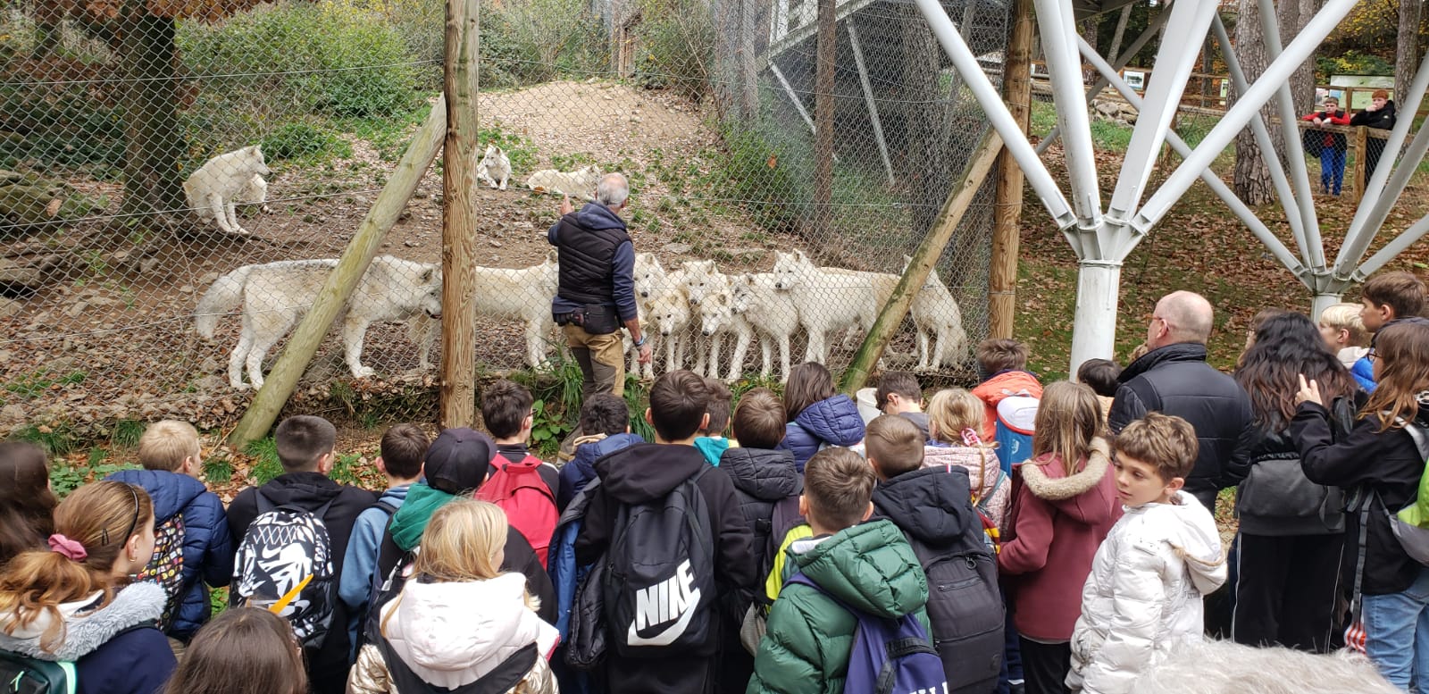 Sortie Gévaudan 2025